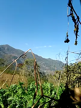 kemtuoi-sex online show from 02-05-26, 08:10