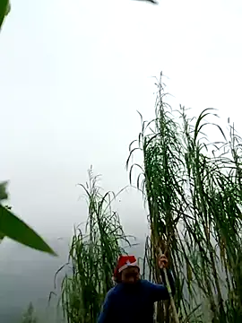 kemtuoi-sex online show from 04-01-26, 02:57