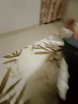 Famit025 online show from 11-23-25, 02:27