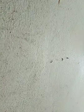 kata-00 online show from 03-14-26, 05:35