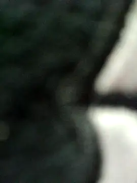 kata-00 online show from 04-02-26, 06:09