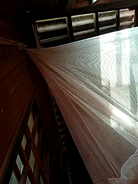 kata-00 online show from 01-18-26, 05:44