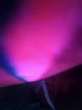 Chanderi19 online show from 12-13-25, 08:04