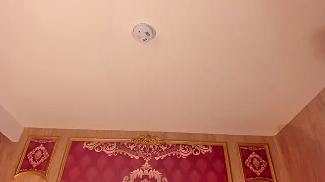 Helenstanford online show from 09-26-25, 01:07