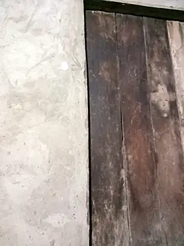 riso-00 online show from 03-30-26, 11:44