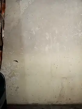 Gracie Stella online show from 10-11-25, 06:36