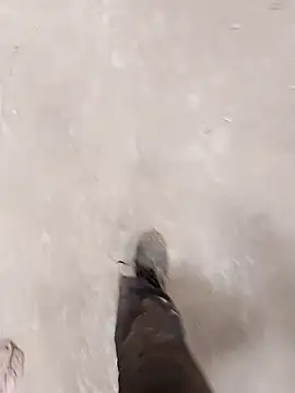 haryanaboypanipat12 online show from 04-09-26, 07:25