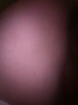 LatinGordis online show from 12-17-25, 03:44