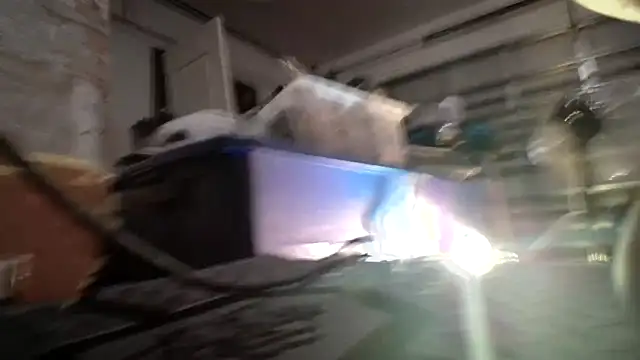 jasoncali305 online show from 09-19-25, 06:39