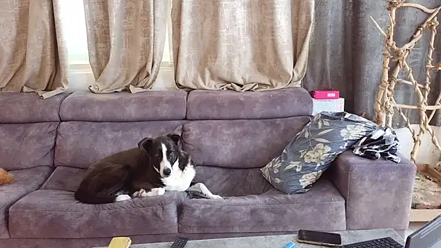 Alexis21821 online show from 02-27-26, 08:14