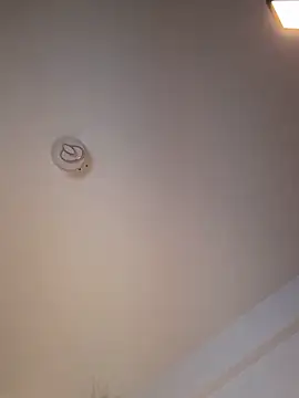 Andrestarr online show from 03-11-26, 06:46