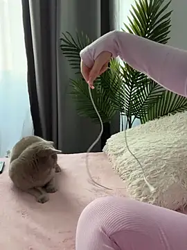 Andrestarr online show from 03-14-26, 02:56