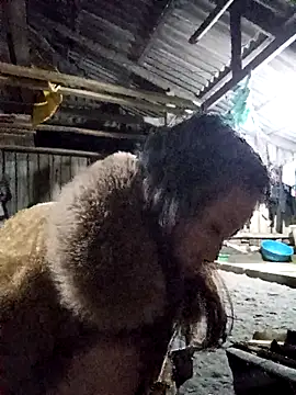 bonnie-00 online show from 11-14-25, 10:46