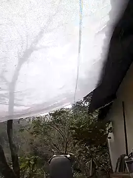 Snapshot of Dung_x chatting on 02-07-26, 05:48 Dung x online show from 02-07-26, 05:48