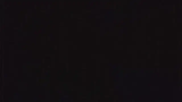 SienaWild online show from 12-23-25, 03:17