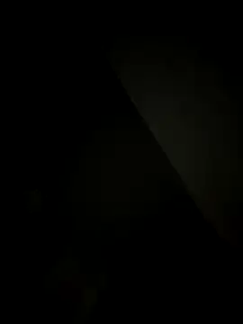 SienaWild online show from 12-20-25, 04:15