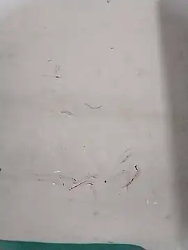 Rapunzal online show from 10-13-25, 07:59