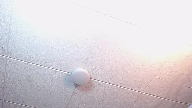 RichardMilleer online show from 02-24-26, 01:56