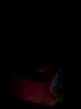 Snapshot of Rosabela04 chatting on 02-12-26, 08:03 Rosabela04 online show from 02-12-26, 08:03