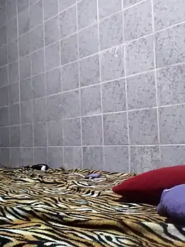 Cachorrinha2025 online show from 11-12-25, 01:43