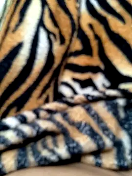 Cachorrinha2025 online show from 10-15-25, 09:39