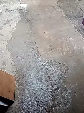 Cachorrinha2025 online show from 11-17-25, 06:45