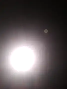 Cachorrinha2025 online show from 10-22-25, 05:45