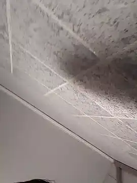 Cachorrinha2025 online show from 10-12-25, 09:54