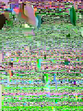 LenaZii online show from 02-07-26, 05:26