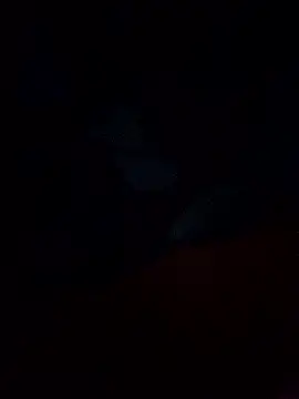 Jarektchurzewski online show from 02-13-26, 12:32