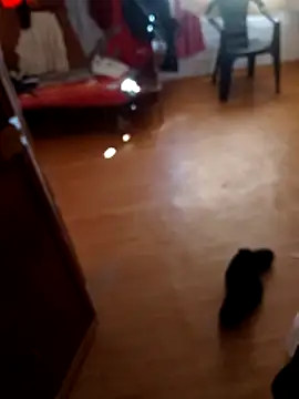 Dropepe1995 online show from 10-25-25, 06:52