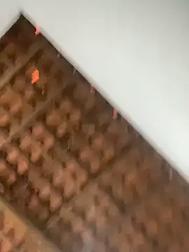 Milenvs online show from 03-05-26, 12:24