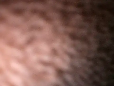 Milenvs online show from 10-20-25, 07:53