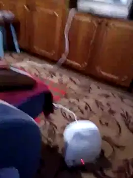 Nikusya-51 online show from 12-22-25, 01:22