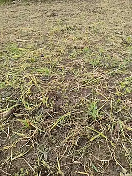 karandeep Bhagat online show from 03-26-26, 10:46