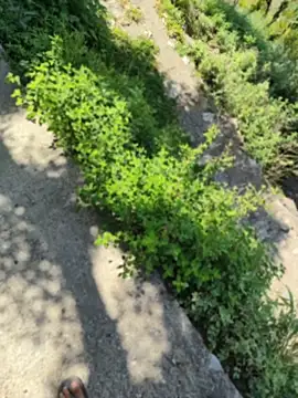 karandeep Bhagat online show from 04-27-26, 06:00