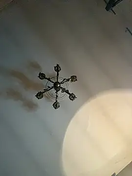 STRIPsegale online show from 03-09-26, 10:02