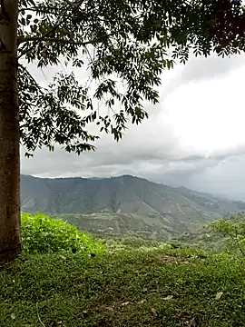 sky-wolves online show from 11-22-25, 09:46