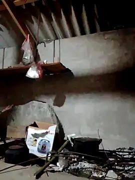 donna-bae online show from 04-12-26, 10:13