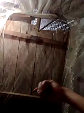 donna-bae online show from 02-22-26, 10:33