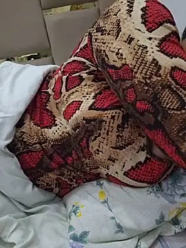 Feel the Fun online show from 02-28-26, 05:23