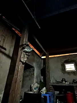 tulipsexy online show from 01-07-26, 05:56