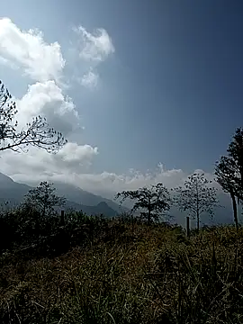 tulipsexy online show from 01-17-26, 05:44