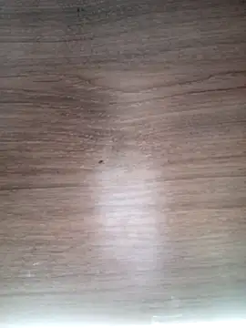 ValeriaLove43211 online show from 03-13-26, 06:29