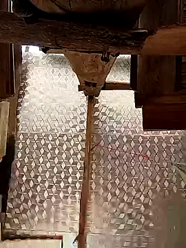 callistra online show from 10-30-25, 07:28