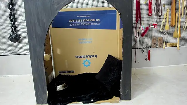 Snapshot of BDSM_MEDUZA chatting on 02-05-26, 11:28 BDSM MEDUZA online show from 02-05-26, 11:28