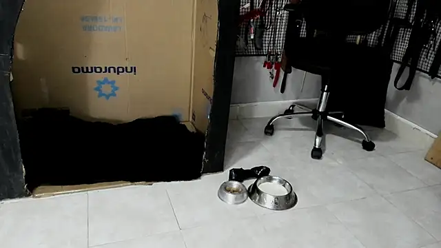 Snapshot of BDSM_MEDUZA chatting on 02-23-26, 03:30 BDSM MEDUZA online show from 02-23-26, 03:30