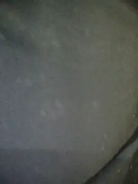 Disha- 00 online show from 12-23-25, 04:56