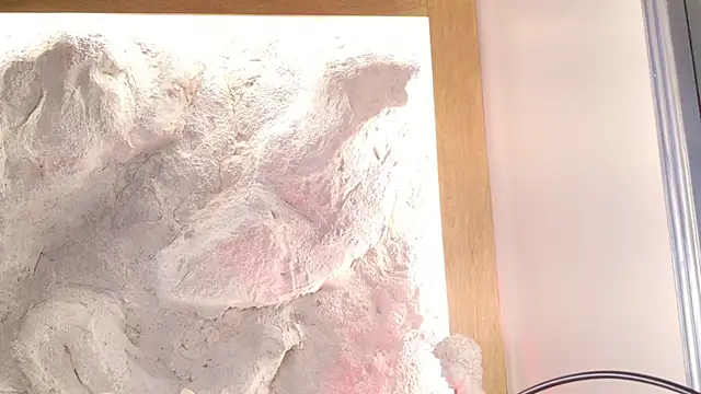 Stellaciel  online show from 02-28-26, 11:04