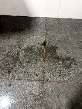 Snapshot of Gihan_sil1088 chatting on 10-10-25, 11:33 Gihan sil1088 online show from 10-10-25, 11:33